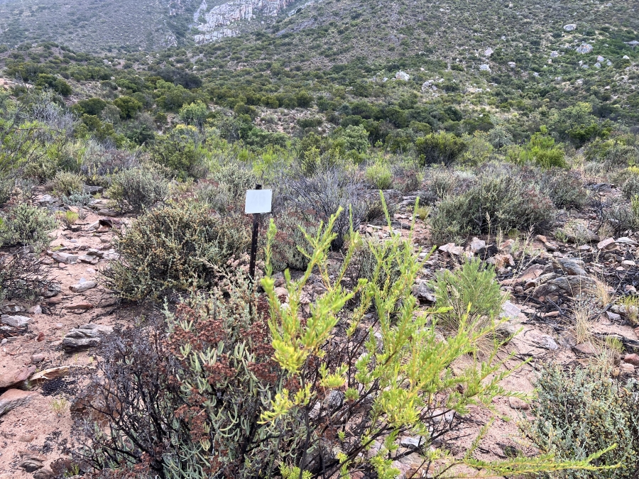 0 Bedroom Property for Sale in Ladismith Western Cape